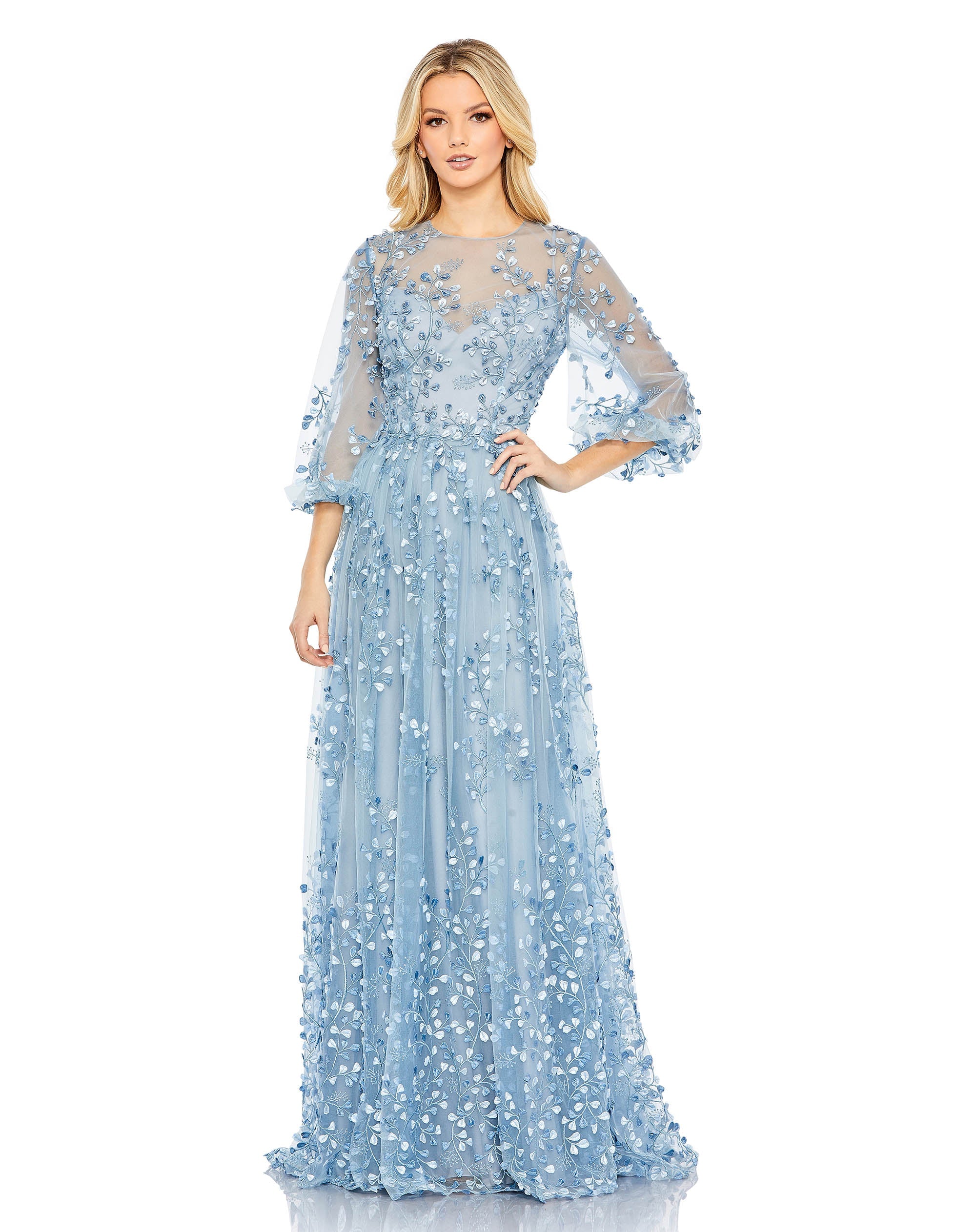 Shop Embroidered Puff Sleeve A-Line Gown Online