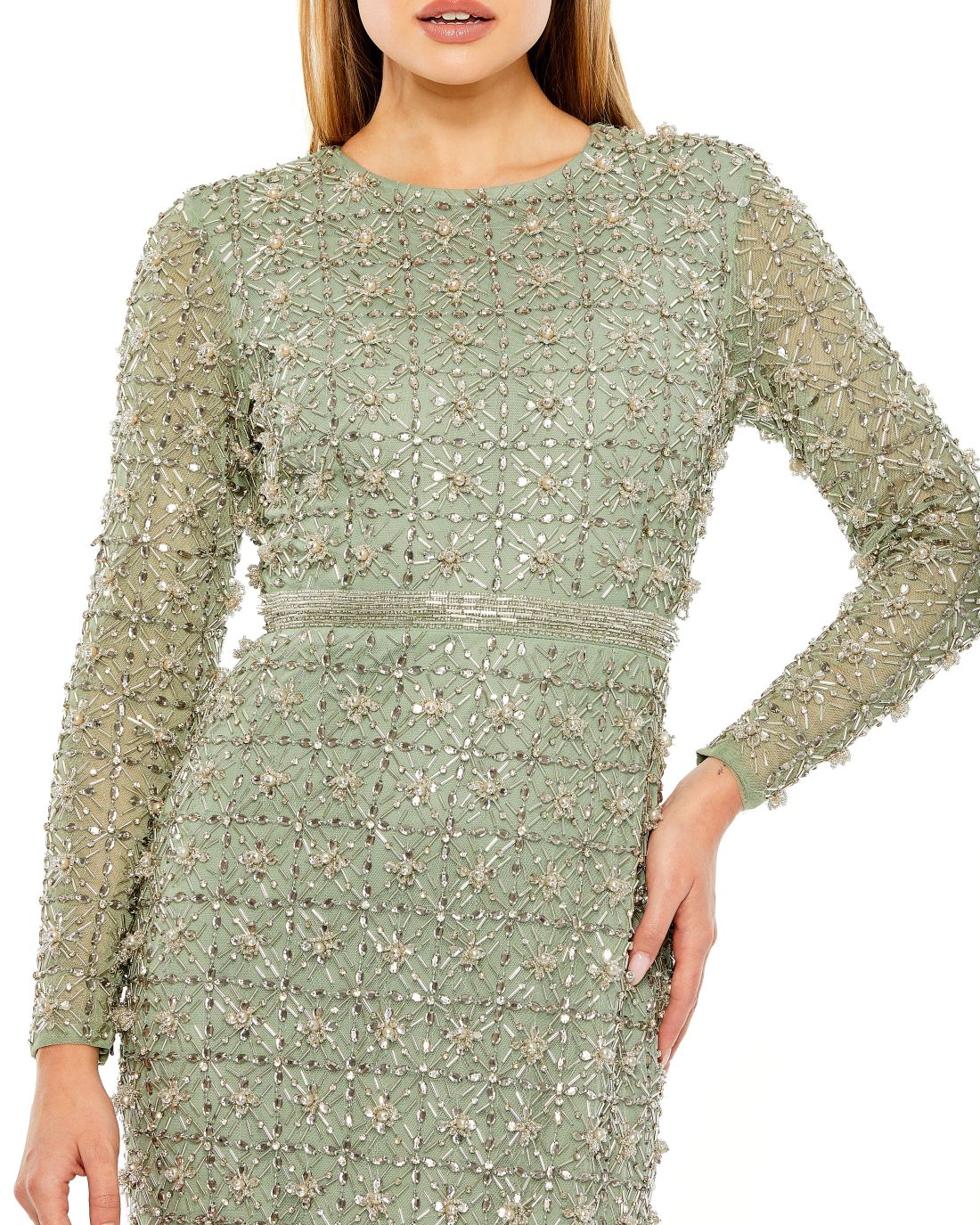 Shop Long Sleeve High Neck Beaded Gown Online